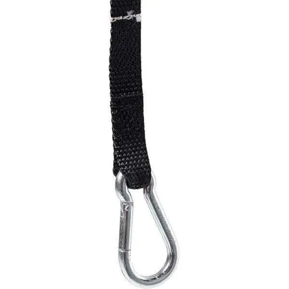 BraunAbility Carolift 40 Boot Hoist 40kg mobility product 14