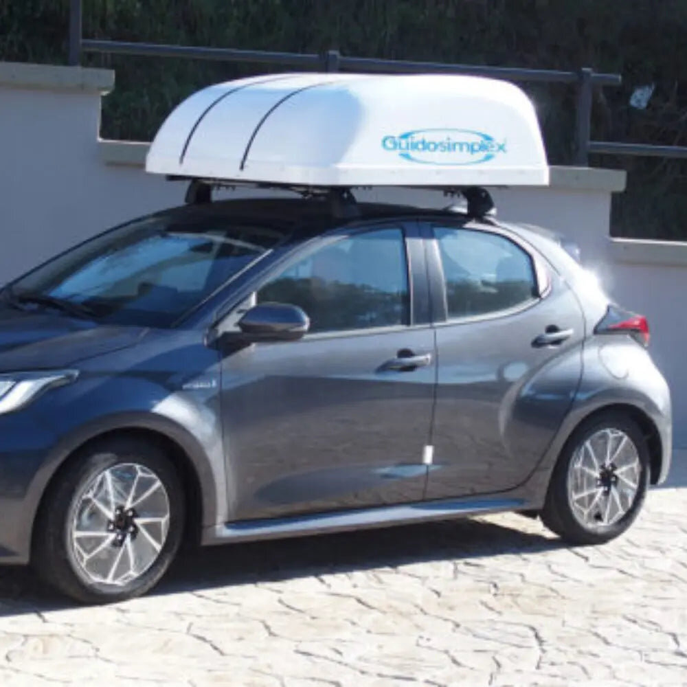 Guidosimplex C-Tran Wheelchair Storage Roof Box