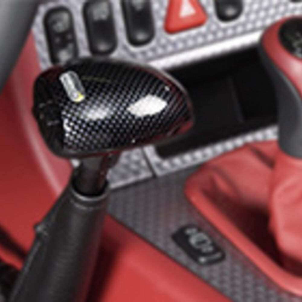 BraunAbility Carospeed Menox Std Floor Mounted Push/Pull Brake & Accelerator mobility product 8
